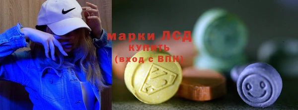 крисы Краснослободск