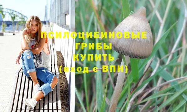 ECSTASY Краснотурьинск