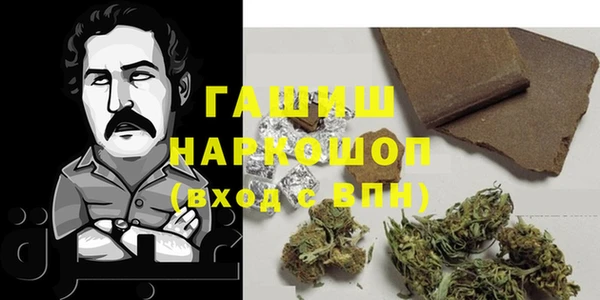 крисы Краснослободск