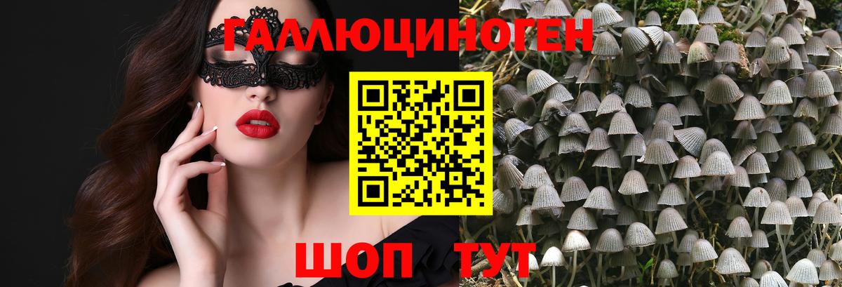 Галлюциногенные грибы мухоморы  Вход с VPN  Мурино 