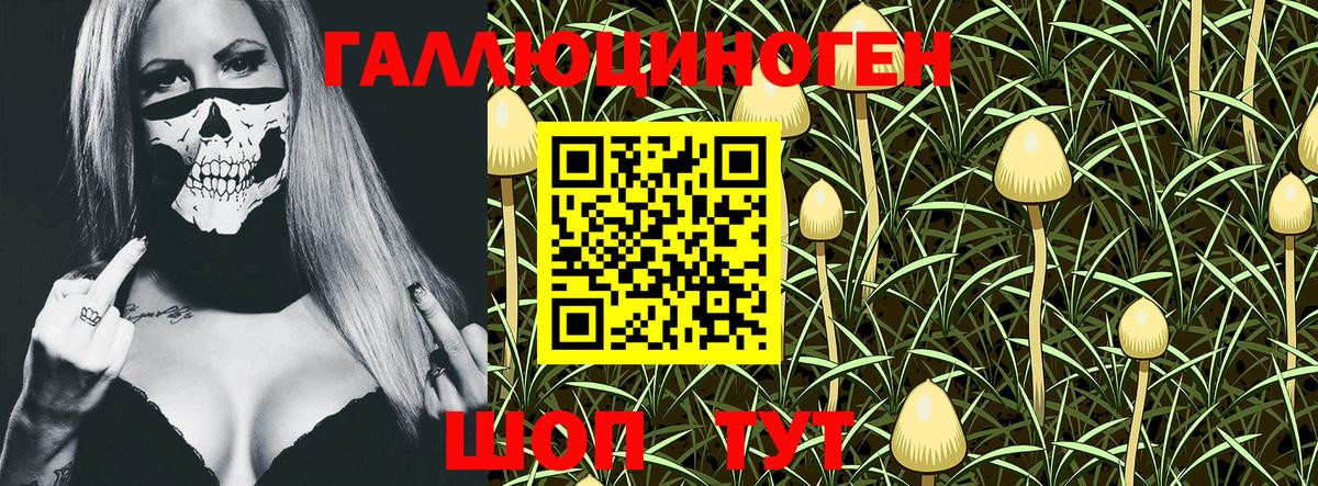 Галлюциногенные грибы Psilocybe Мурино