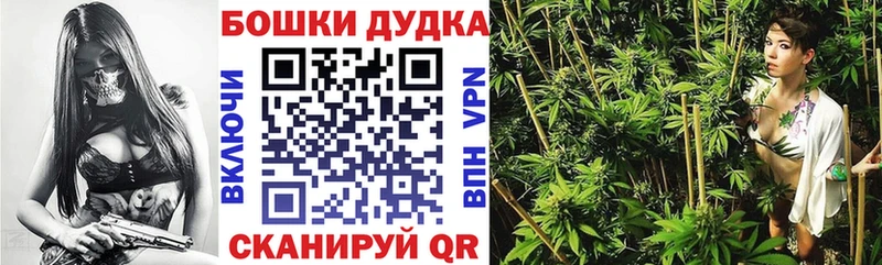 Бошки Шишки марихуана  MEGA ТОР  это Telegram  Мурино 
